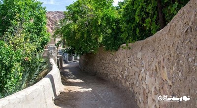  روستای ازمیغان شهرستان خراسان جنوبی استان طبس