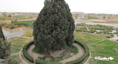  ابرکوه -  شهر ابرکوه