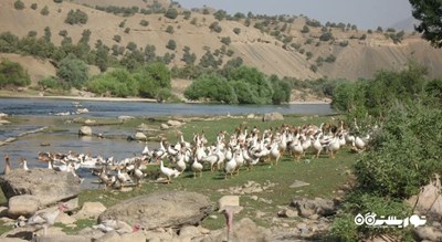  سد و رودخانه سیمره شهرستان ایلام استان بدره