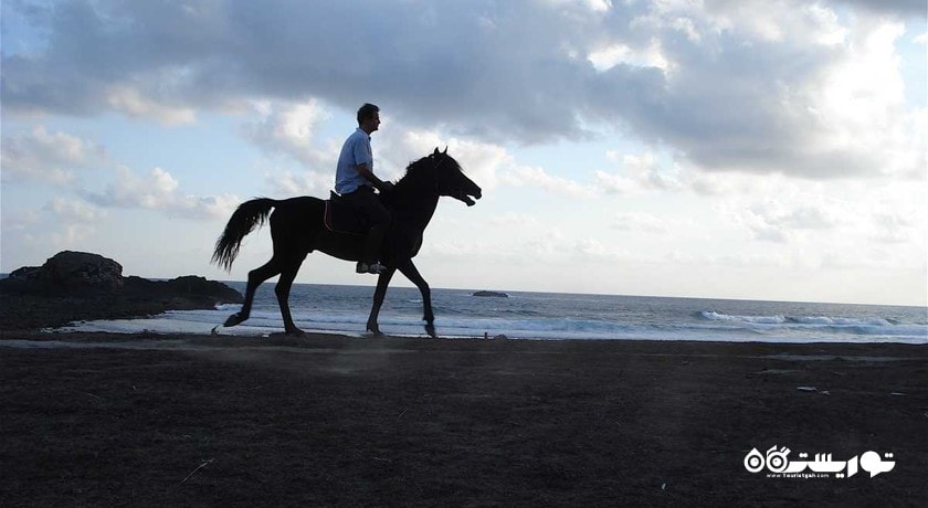 سرگرمی اسب سواری در پوکت شهر تایلند کشور پوکت