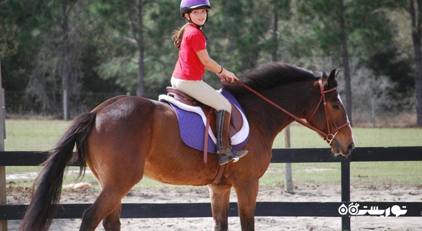 سرگرمی اسب سواری در پوکت شهر تایلند کشور پوکت