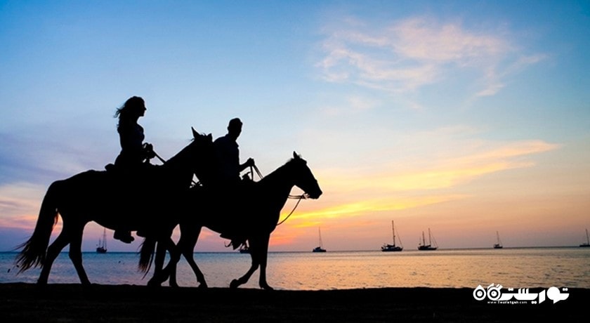 سرگرمی اسب سواری در پوکت شهر تایلند کشور پوکت