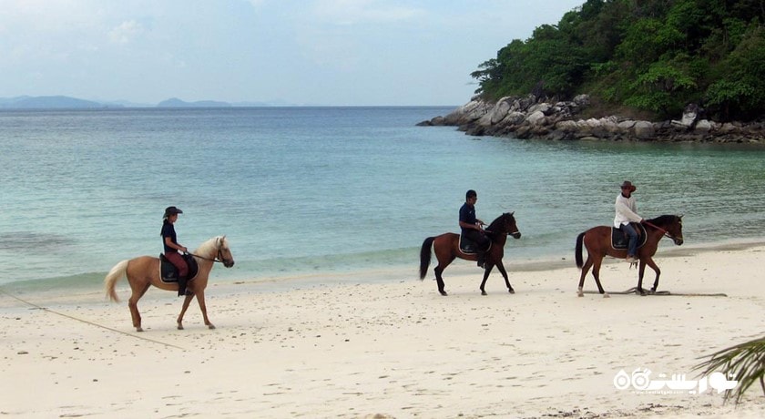 سرگرمی اسب سواری در پوکت شهر تایلند کشور پوکت