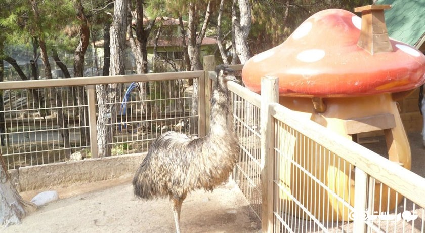  باغ وحش آنتالیا شهر ترکیه کشور آنتالیا