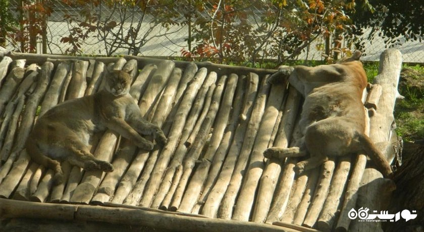  باغ وحش آنتالیا شهر ترکیه کشور آنتالیا