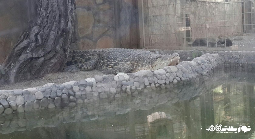  باغ وحش آنتالیا شهر ترکیه کشور آنتالیا