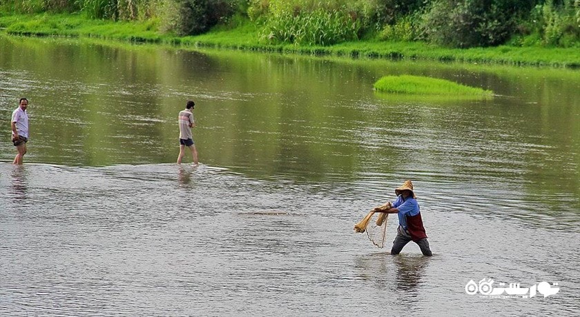 سفید رود شهرستان گیلان استان رودبار