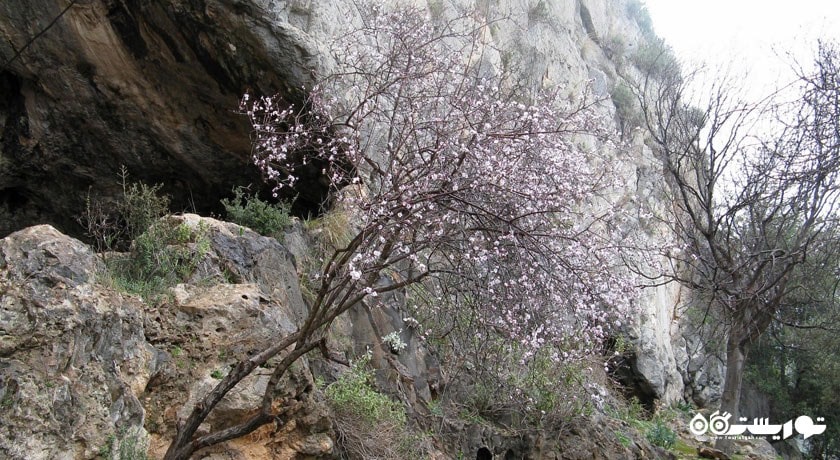  غار کارائین شهر ترکیه کشور آنتالیا