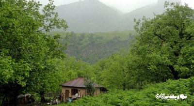  جنگل سرپوش تنگه شهرستان مازندران استان چالوس