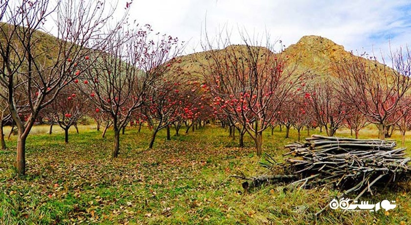  روستای هرانده شهرستان تهران استان فیروزکوه