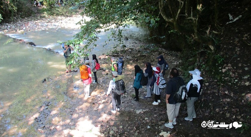  جنگل و آبشار پلنگ دره شهرستان مازندران استان شیرگاه