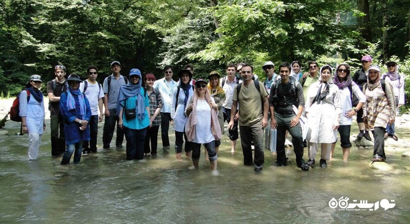  جنگل و آبشار پلنگ دره شهرستان مازندران استان شیرگاه
