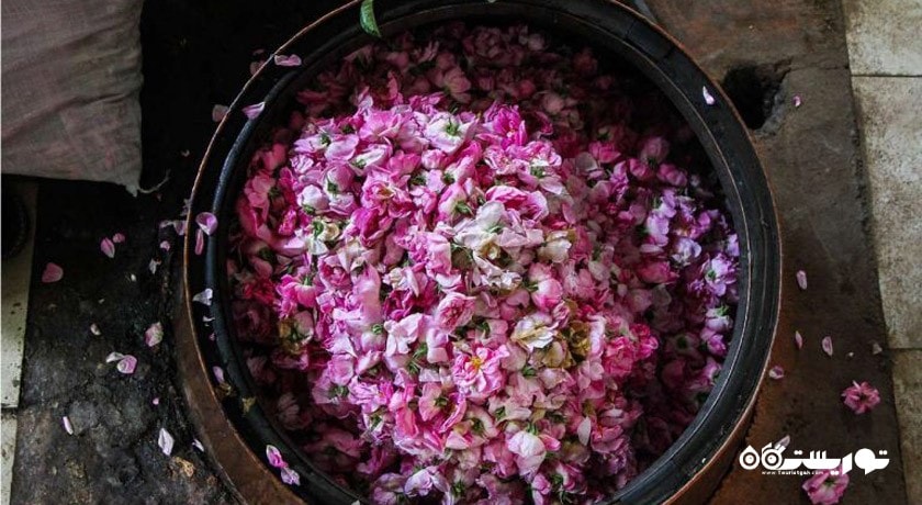 گلاب گیری کاشان -  شهر کاشان