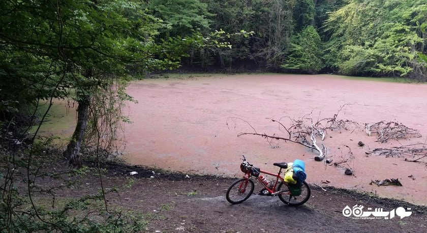  مرداب هسل شهرستان مازندران استان چالوس