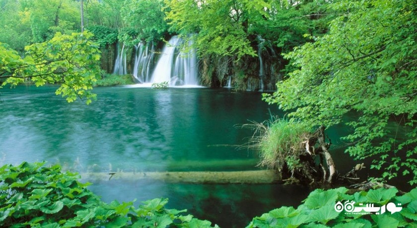  Ø¢Ø¨Ø´Ø§Ø± Ú©Ø¨ÙØ¯ÙØ§Ù Ø´ÙØ±Ø³ØªØ§Ù Ú¯ÙØ³ØªØ§Ù Ø§Ø³ØªØ§Ù Ø¹ÙÛ Ø¢Ø¨Ø§Ø¯	