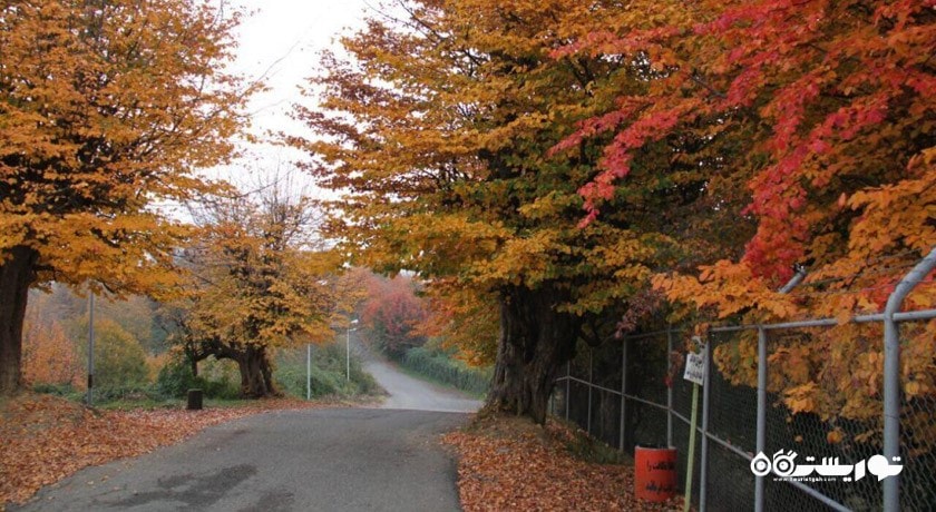 تالش -  شهر تالش (طوالش)