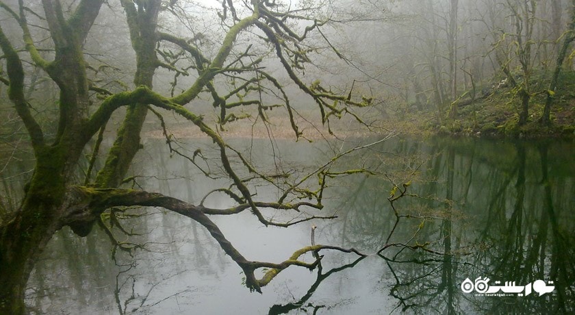 دریاچه فراخین -  شهر نوشهر