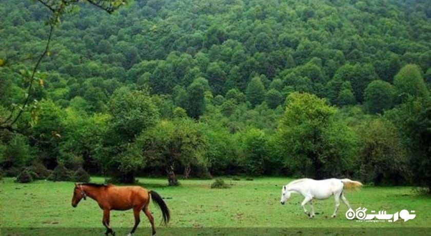  روستای الیمستان شهرستان مازندران استان آمل