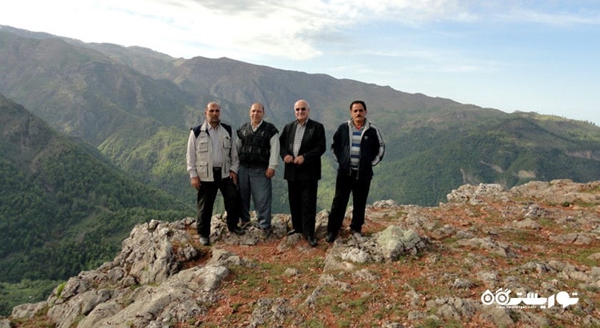  دره ساری داش شهرستان گیلان استان تالش (طوالش)