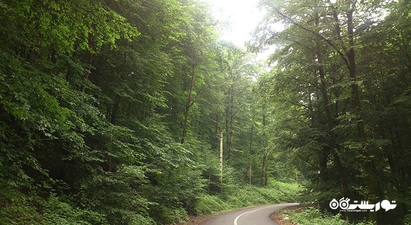  روستای سنگده  شهرستان مازندران استان ساری