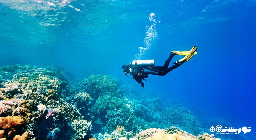 سرگرمی غواصی در دریای مدیترانه شهر ترکیه کشور آنتالیا