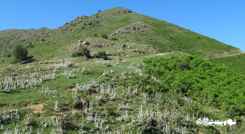ییلاق جواهر دشت -  شهر رودسر	