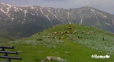  ییلاق جواهر دشت شهرستان گیلان استان رودسر	