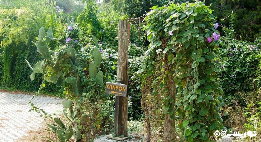  تنگه گوینوک شهر ترکیه کشور آنتالیا