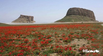 جزیره کاظم داشی -  شهر آذربایجان غربی