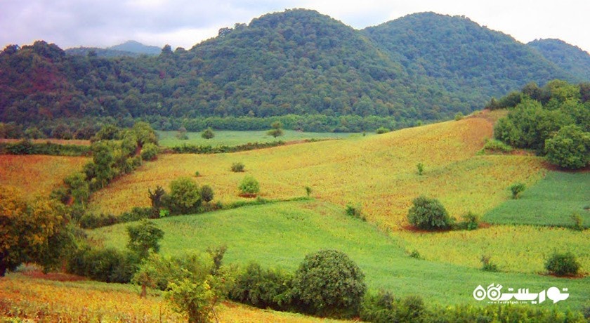 مجموعه تاریخی عباس آباد بهشهر -  شهر بهشهر