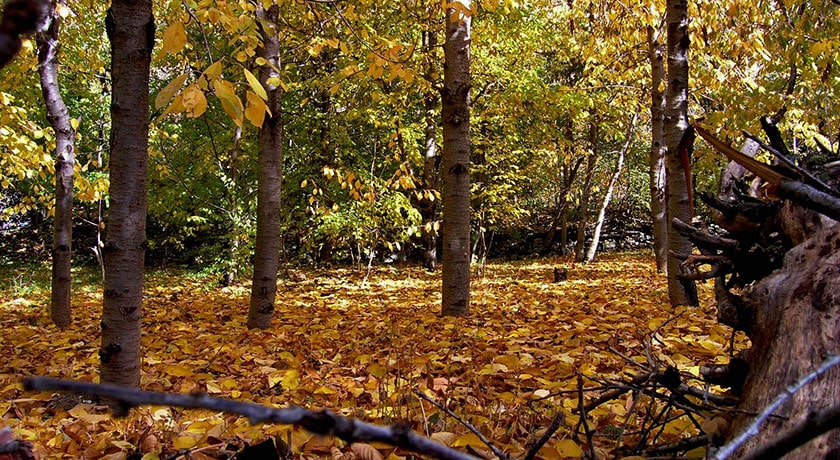 روستای آهار -  شهر اوشان، فشم و میگون