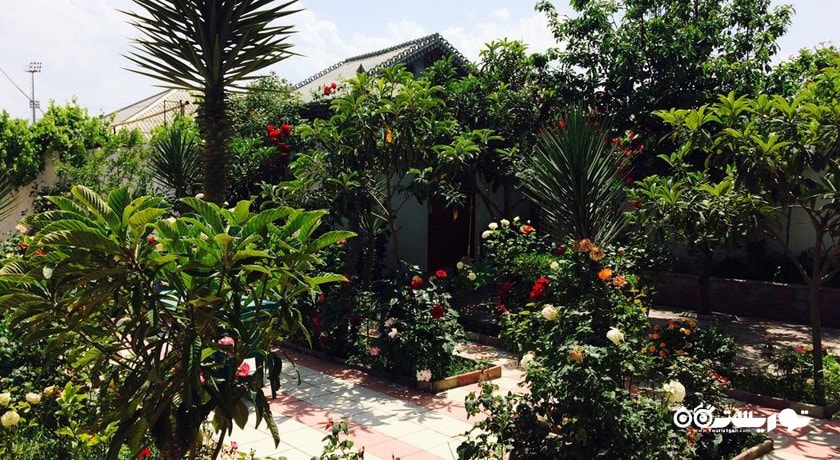 سرگرمی باغ گیاه شناسی مرکزی شهر آذربایجان کشور باکو