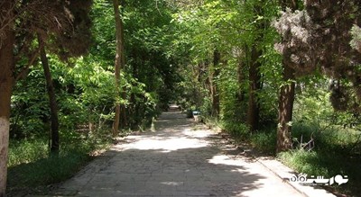 باغ گیاه شناسی مرکزی -  شهر باکو