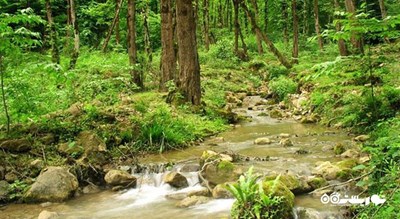 جنگل و چشمه نیلبرگ رامیان -  شهر رامیان