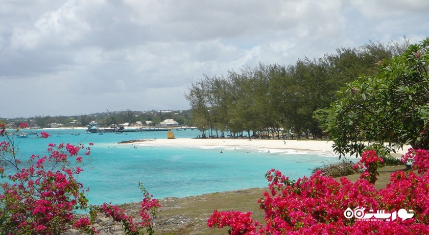 سرگرمی ساحل میامی نووخانی شهر آذربایجان کشور باکو