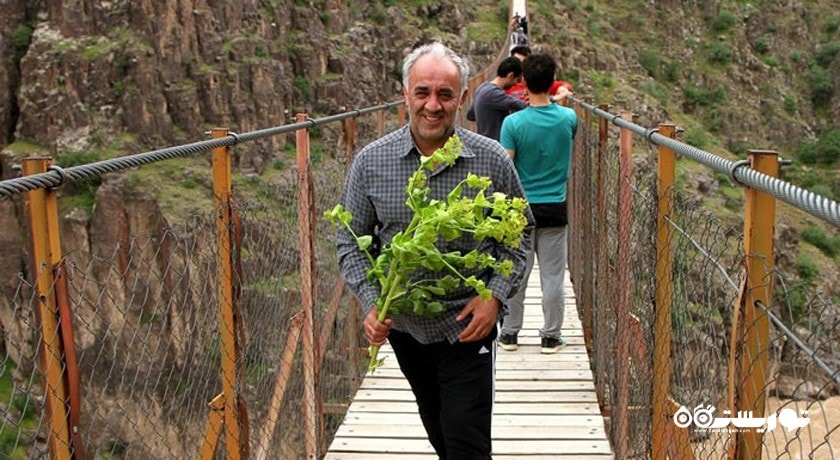 هشتجین -  شهر اردبیل