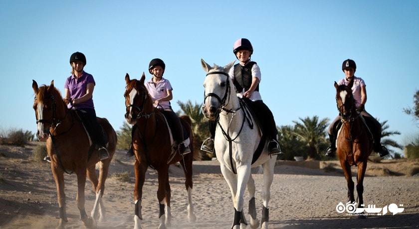 سرگرمی اسب سواری باکو شهر آذربایجان کشور باکو