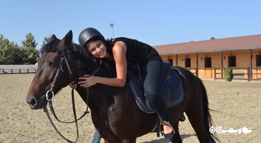 سرگرمی اسب سواری باکو شهر آذربایجان کشور باکو