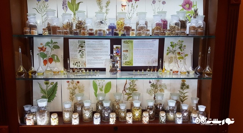 موزه مانتاداران (موزه نسخه های خطی باستانی) -  شهر ایروان