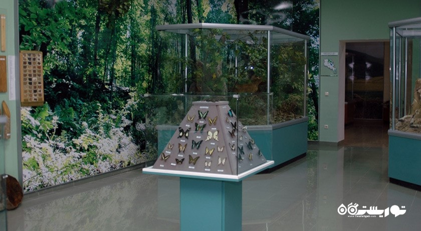  موزه دولتی طبیعی ایروان شهر ارمنستان کشور ایروان