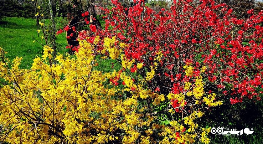 سرگرمی باغ گیاه شناسی ایروان شهر ارمنستان کشور ایروان