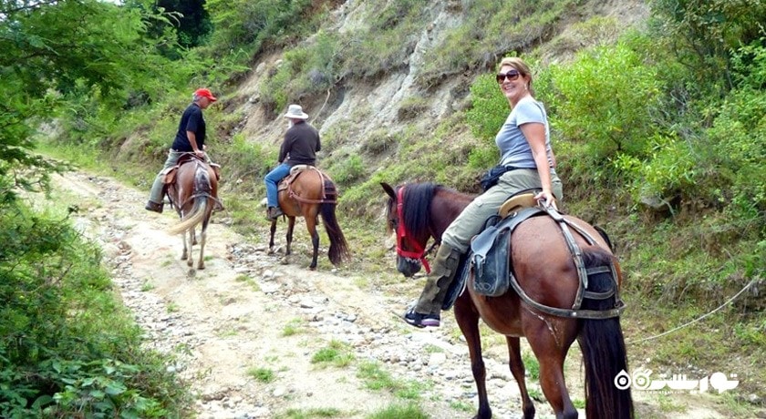 سرگرمی سوار کاری در ایروان شهر ارمنستان کشور ایروان