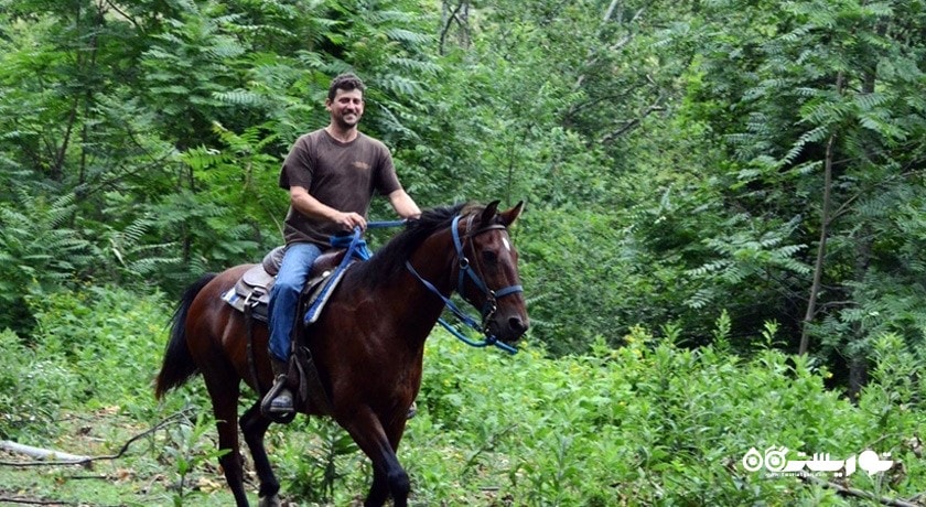 سرگرمی سوار کاری در ایروان شهر ارمنستان کشور ایروان