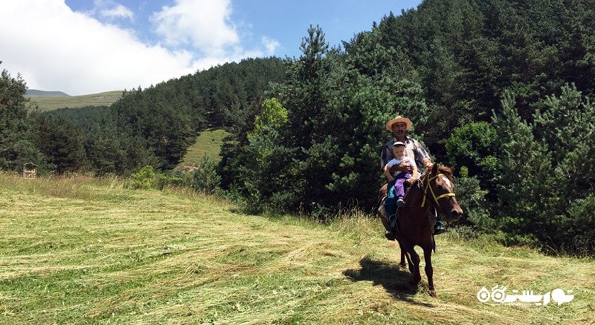 سوار کاری در ایروان -  شهر ایروان