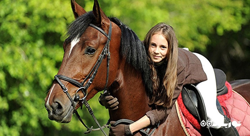 سوار کاری در ایروان -  شهر ایروان