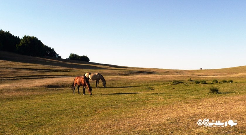  دریاچه سوها شهرستان اردبیل استان نمین