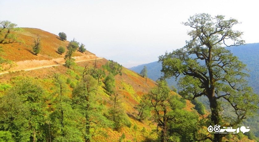  ییلاق سلانسر شهرستان گیلان استان رودبار