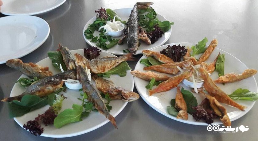 رستوران مارتی کافه شهر وان 