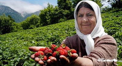  ییلاق سی دشت شهرستان گیلان استان رودبار