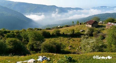  روستای شیخ موسی شهرستان مازندران استان بابل